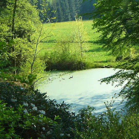 Affittacamere Forstgut Stuebeckshorn Soltau Esterno foto