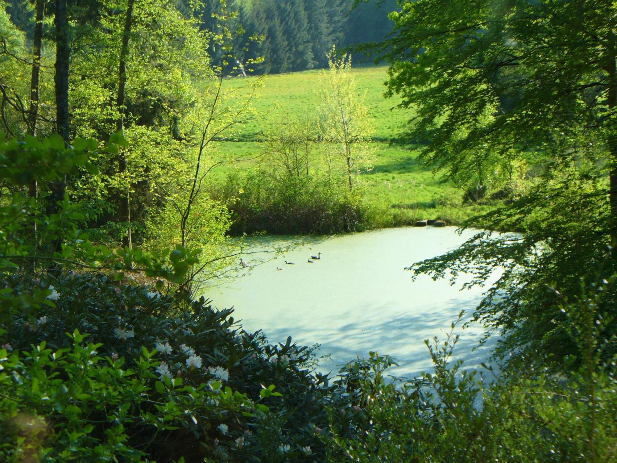 Forstgut Stuebeckshorn